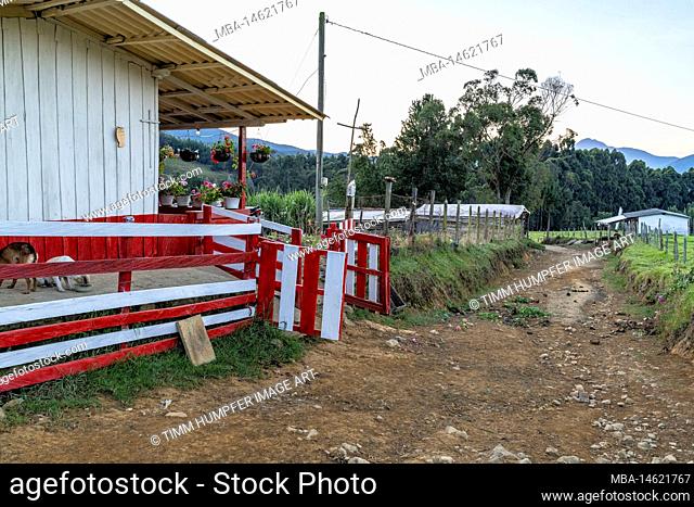South America, Colombia, Department of Antioquia, Colombian Andes, Urrao, ramo del Sol, Colorful entrance of a finca