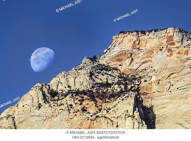 The setting moon appears over Zion National Park, Utah