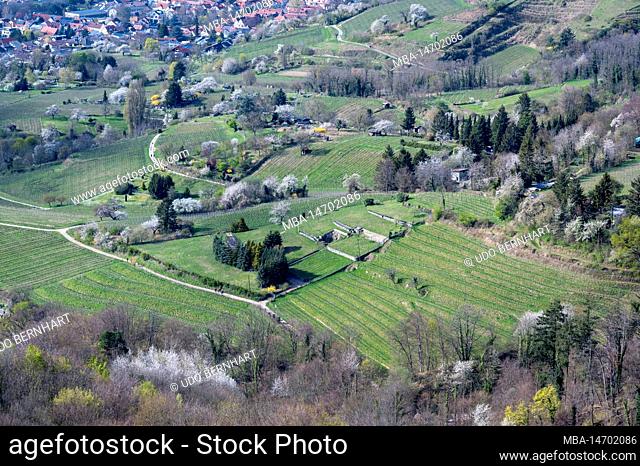 Germany, Hesse, southern Hesse district Bergstrasse, Bensheim-Auerbach, view from the castle