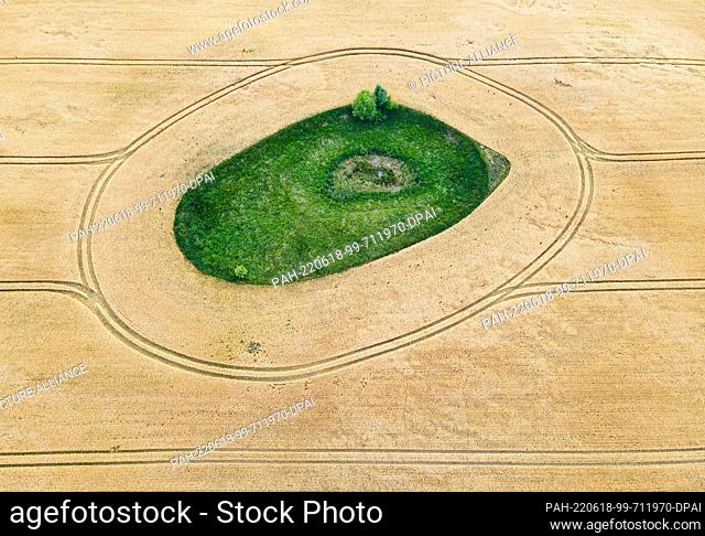 17 June 2022, Brandenburg, Petersdorf: A grain field with a so-called ""Soll"", a small water hole (aerial photo with a drone)