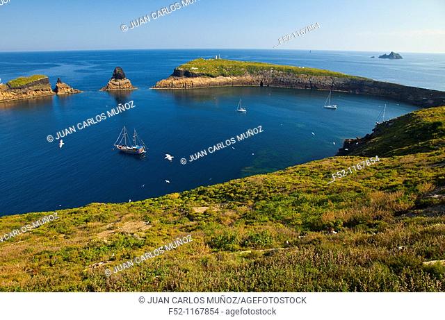 Illa Grossa, Columbretes Islands, Castellon province, Comunidad Valenciana, Spain