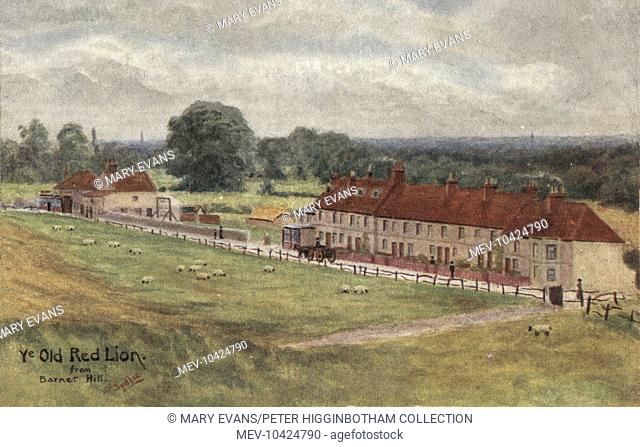 A view from Barnet Hill, North London (Hertfordshire) of the Old Red Lion inn (left) and a row of cottages. The cottages are said to have formerly housed an...