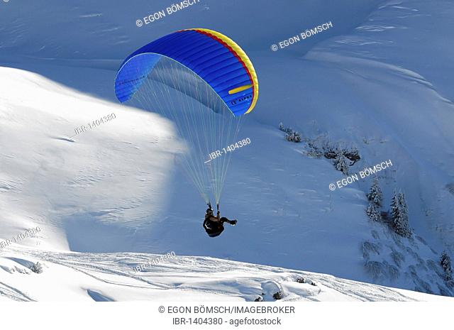 Paragliding on Mt Nebelhorn, 2224m, Oberstdorf, Allgaeu, Bavaria, Germany, Europe