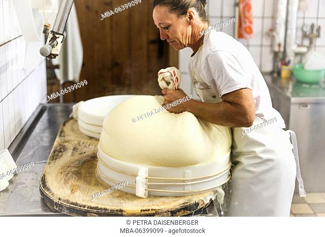 dairymaid processes fresh milk to aromatic alp cheese, report: from cooking the milk and adding rennet until having the cheese loaf which get to ripe in the...