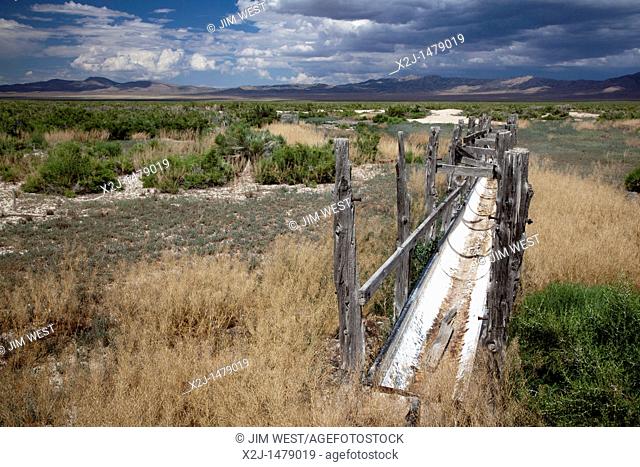 Baker, Nevada - A spring that went dry because of excessive ground water pumping nearby  Seventeen wild horses died here in 2001 when the spring dried up...