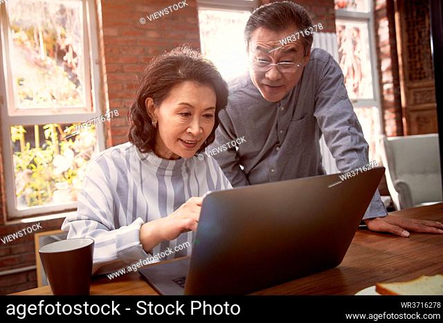 Happy elderly couple using laptops