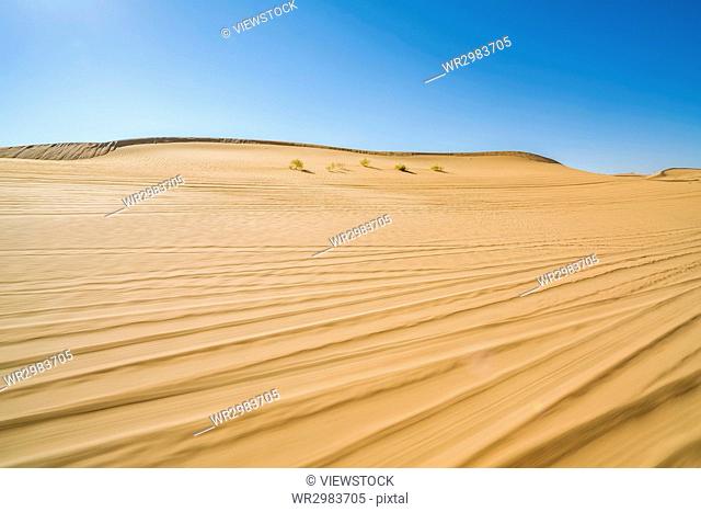Desert, Inner Mongolia, China