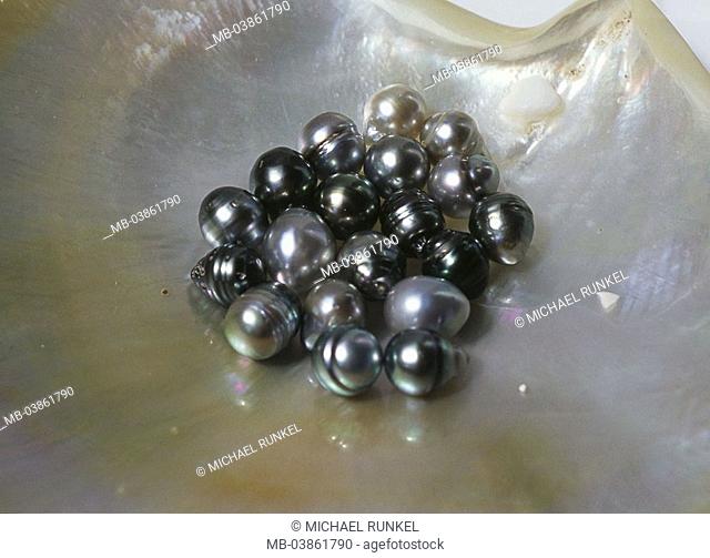 French-Polynesia, pearl-breeding, oyster-peel, black Tahiti-pearls, 'fanny rava', South sea, Ozeanien, economy, oyster-breeding, breeding, presentation, oyster