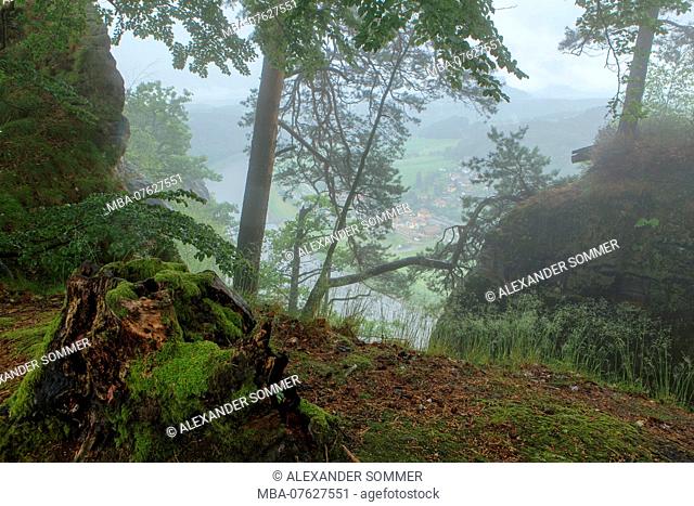 National Park Saxon Switzerland, Bastei area, Saxony, Germany, Europe