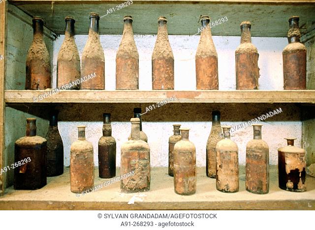Old bottles of sherry at wine cellar, González Byass winery museum. Jerez de la Frontera, Cádiz province. Spain