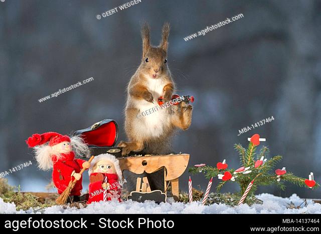 red squirrel standing with a violin , christmas doll and candles