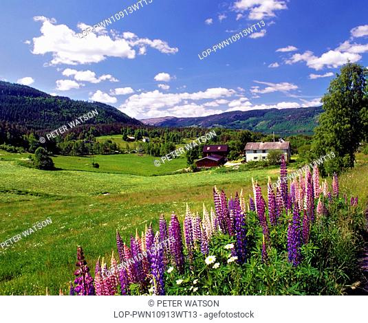 Norway, Vest Adger, Aseral. A midsummer view of the rural village Aseral in southern Norway