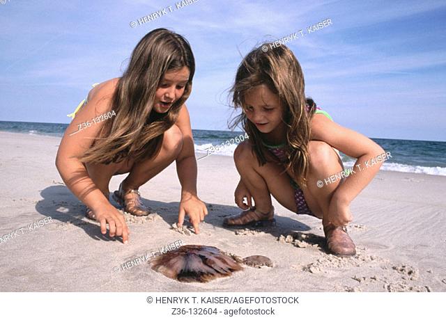 Girls on a beach with jellyfish