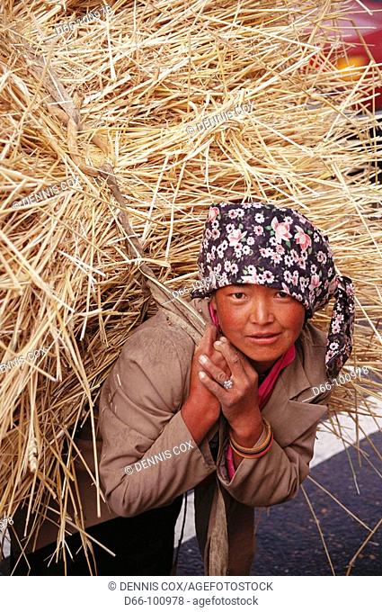 Tibetan peasant woman carrying straw. Tibet, China