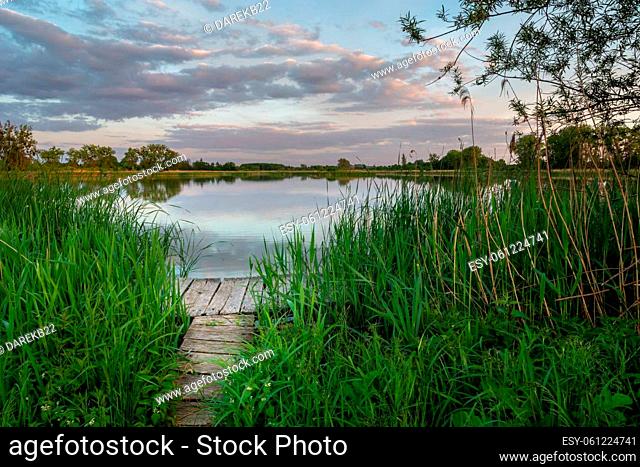 Wooden deck in the green reeds and the evening sky, Stankow, Lubelskie, Poland