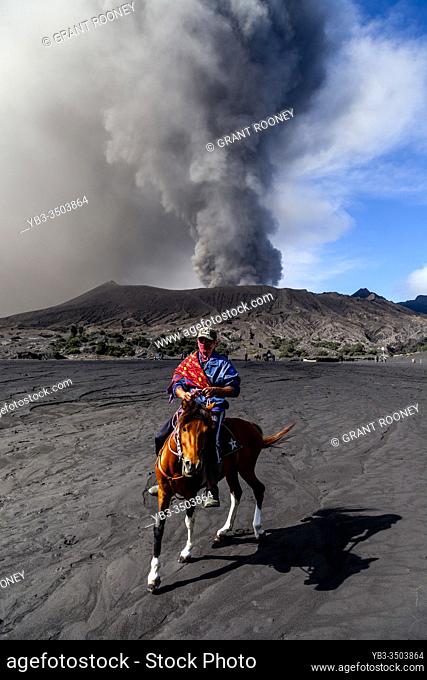 A Man On Horseback Riding On The Sea Of Sand With An Erupting Mount Bromo In The Backround, Bromo Tengger Semeru National Park, Java, Indonesia