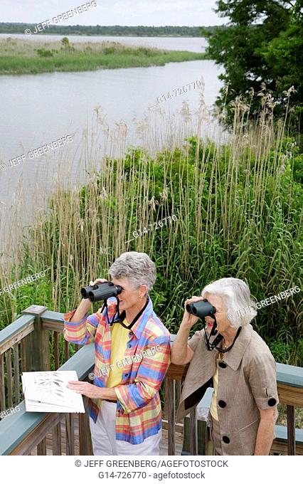 Alabama, Mobile Bay, Spanish Fort, Mobile Tensaw River, 5 Rivers Delta Resource Center, nature, education, woman, women, senior, binoculars, birding