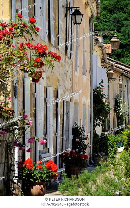 Street of houses, St. Jean de Cole, Dordogne, France, Europe