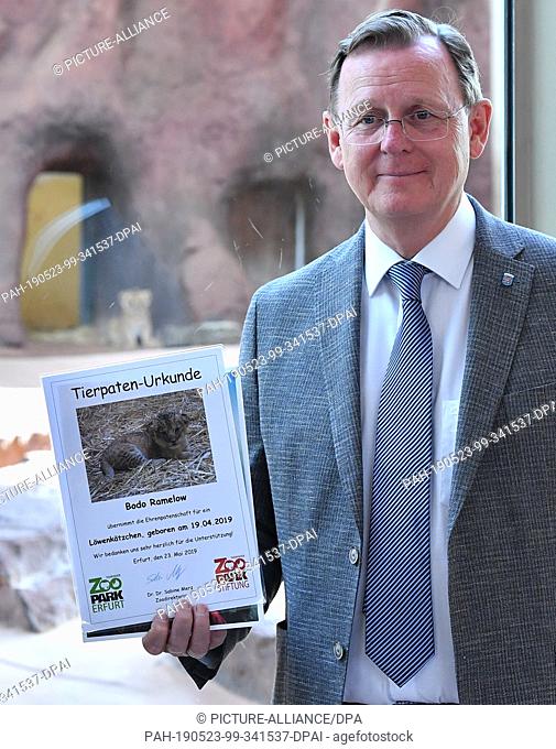 23 May 2019, Thuringia, Erfurt: Bodo Ramelow (The Left), Prime Minister of Thuringia, visits baby lions in Thuringia's Zoopark and receives an animal...