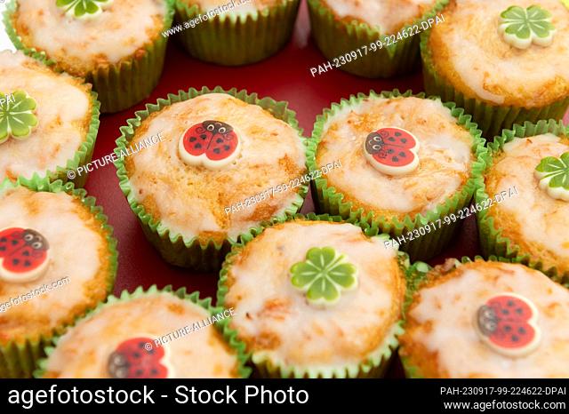 SYMBOL - 16 September 2023, Baden-Württemberg, Rottweil: Cupcakes laid out on a table at a champagne reception at a wedding. Photo: Silas Stein/dpa