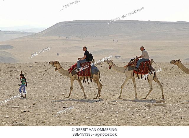 camel ride for tourists near pyramid of Cheops