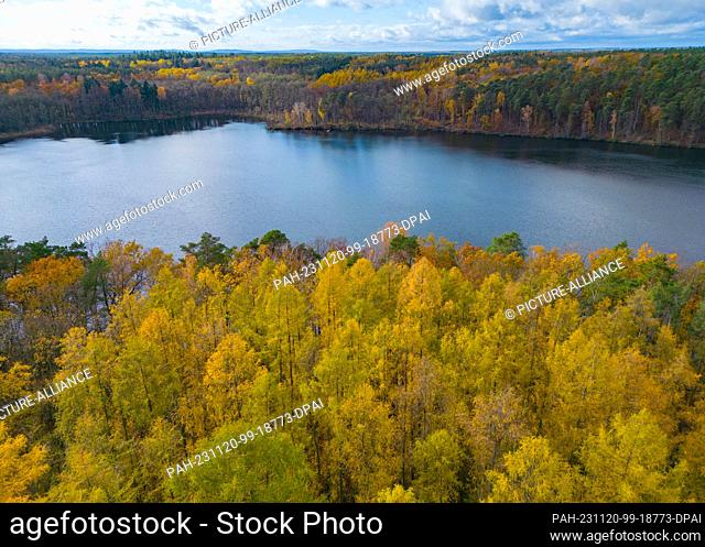 16 November 2023, Brandenburg, Treplin: Deciduous trees and larches on the shore of Lake Treplin in the east of Brandenburg are colorful and autumnal (aerial...