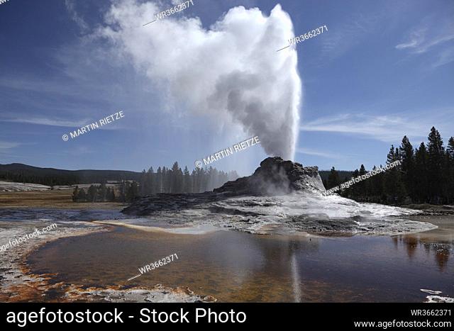 View of Castle Geyser at Yellowstone National Park