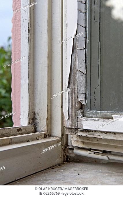 Old wooden window damaged by weathering, flaking paint, Stuttgart, Baden-Wuerttemberg, Germany, Europe