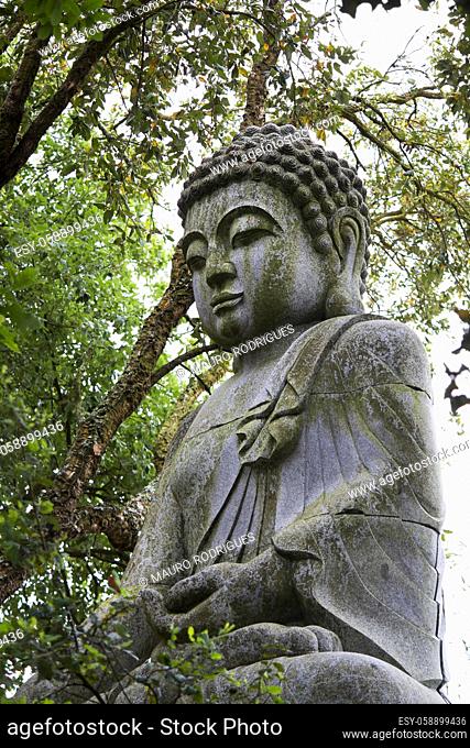 Close up view of a beautiful Buddha statue on a park