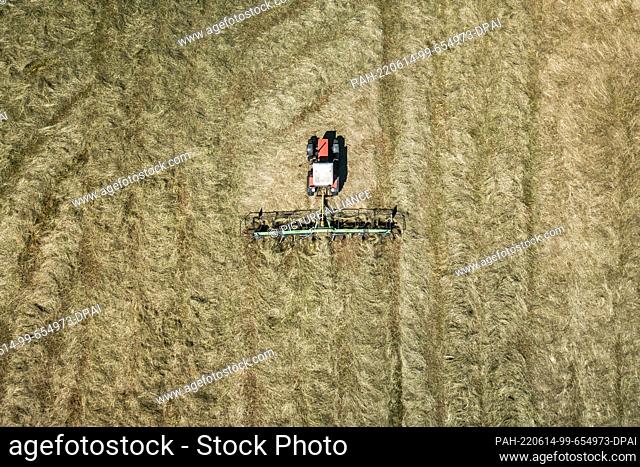 13 June 2022, Baden-Wuerttemberg, Rottweil: A farmer drives a tractor in a field and swathes hay. Photo: Silas Stein/. - Rottweil/Baden-Wuerttemberg/Germany