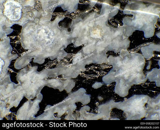 snowflake obsidian in a macro shot