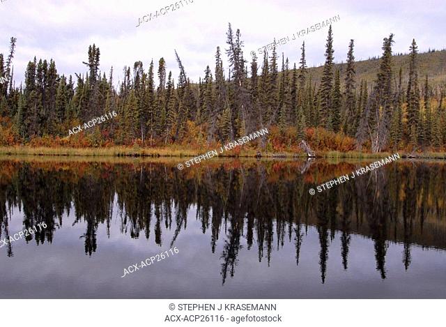 Scenic of alpine lake and autumn colours along the shoreline. Un-named lake in Yukon Territory, Canada