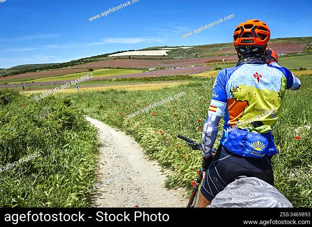 Bike pilgrims. French Way, Way of St. James. Hontanas, Burgos, Castile and Leon, Spain, Europe