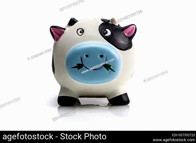 Piggy bank isolated on white background with reflection