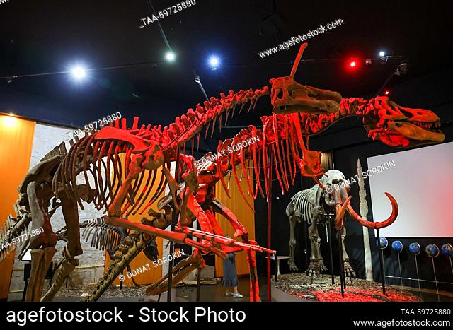 RUSSIA, PERM - JUNE 10, 2023: Replicas of a Tsintaosaurus skeleton (L) and a Tarbosaurus skeleton are on display at the Museum of Perm Prehistory