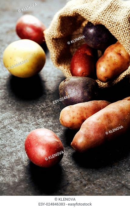Raw colorful potatoes in burlap bag