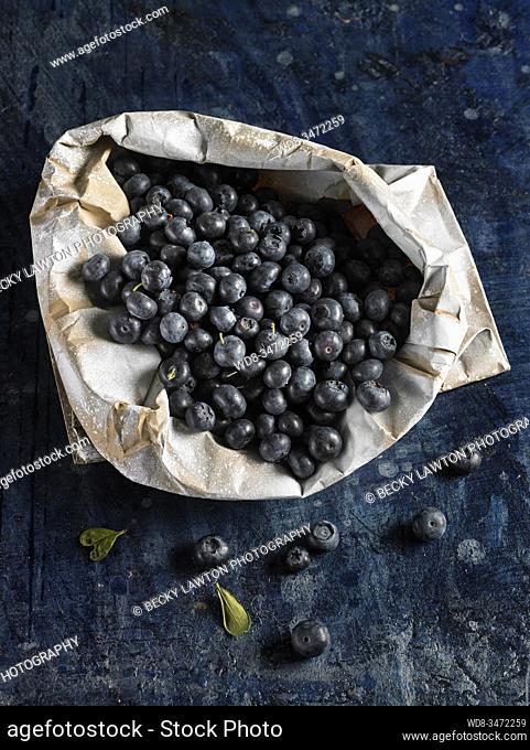 arándanos / blueberries