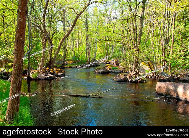 Der Fluß Emån in den Wäldern Smålands im südöstlichen Schweden. The river Eman in the woodlands of south-east Sweden in spring