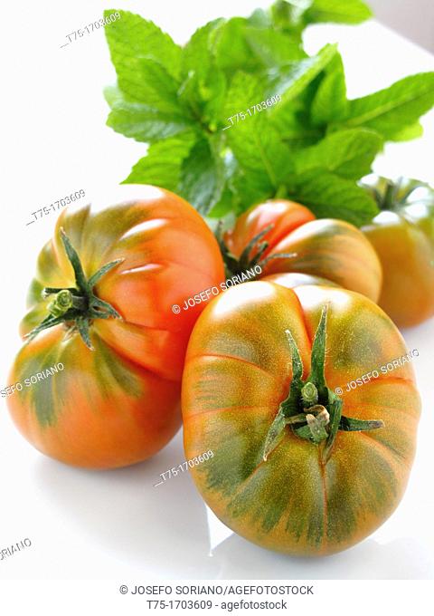 Tomatoes with leaves of Mint, and Mint chocolate