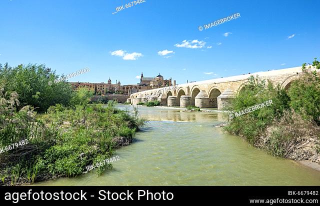 Puente Romano, Roman bridge over Rio Guadalquivir, behind Mezquita, Catedral de Córdoba, Cordoba, Andalusia, Spain, Europe