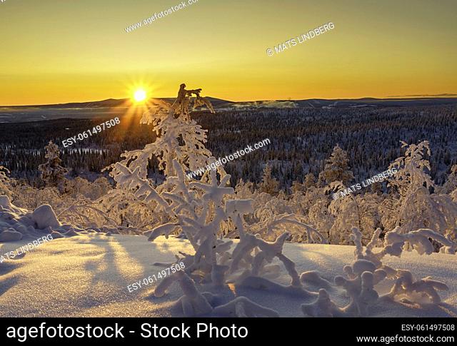 Winterlandscape at sunset in direct light making the sky colorfull with nice warm color, Gällivare county, swedish Lapland, Sweden