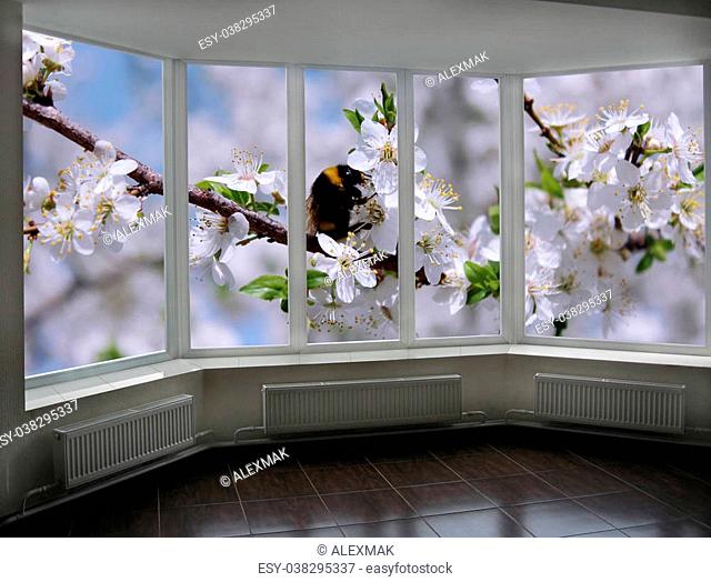 window to the garden with bumblebee flying above blossoming cherry-tree