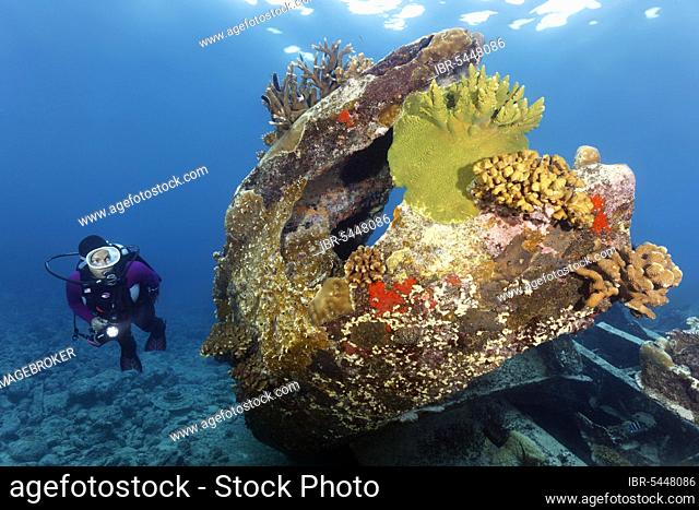 Diver viewing Malaysian shipwreck, Pacific Ocean, Sulu Sea, Tubbataha Reef National Marine Park, Palawan Province, Philippines, Asia