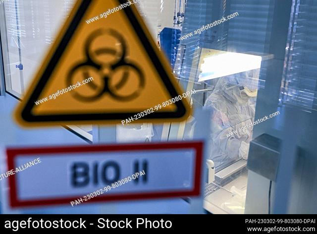 02 March 2023, Saxony, Leipzig: Employees of the Fraunhofer Institute for Cell Therapy and Immunology IZI work on the pharmaceutical production of cell and gene...