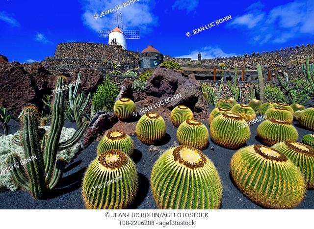 spain, canary islands, lanzarote : cactus' garden