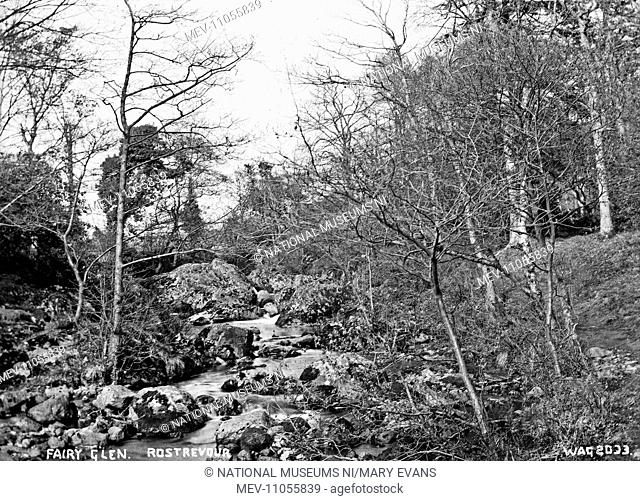 Fairy Glen, Rostrevor - a view of a river and vegetation. (Location: Northern Ireland; County Down; Rostrevor)