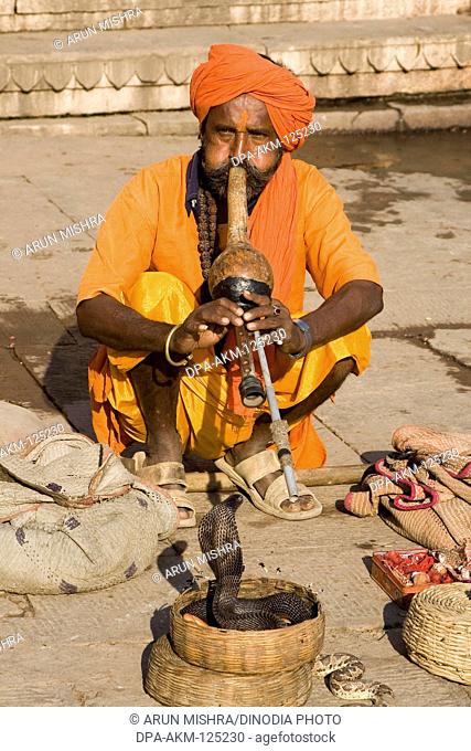 Snake charmer or snake gourd playing pungi for snake to pleased pilgrims in Varanasi on Ganga river ; Uttar Pradesh ; India