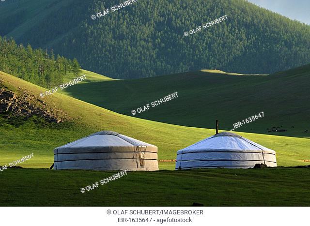 Yurt camp or ger camp, in the grasslands at the Orkhon waterfall in front of the mountains of the Khuisiin Naiman Nuur Nature Reserve, Orkhon Khuerkhree
