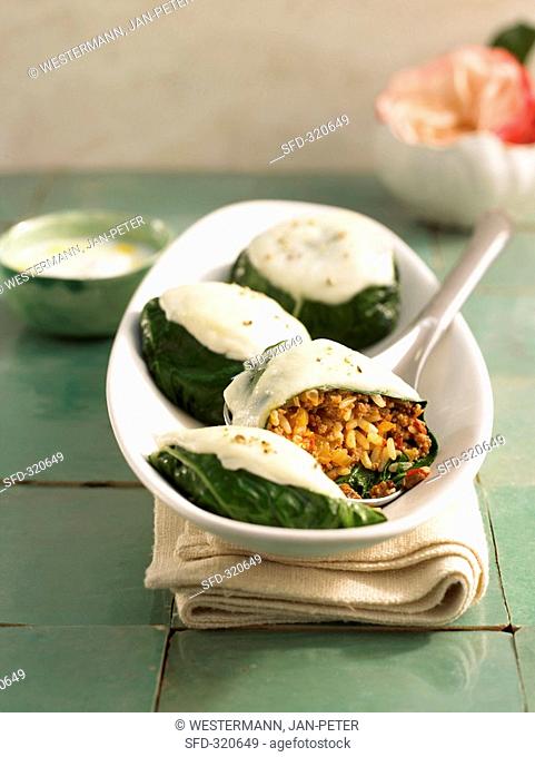 Stuffed chard leaves with mince filling
