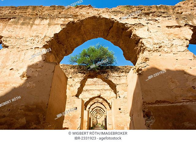 Ruins made from mud bricks, old granary and stables, Henri Es Souani, Meknes, Morocco, Africa